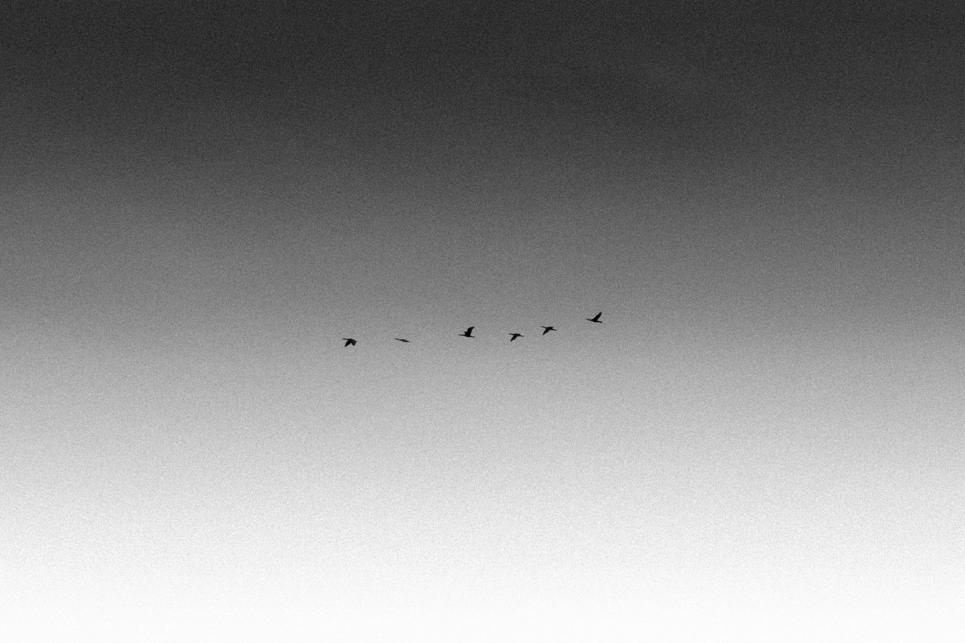 Photograph from UNNAMED DARKNESS